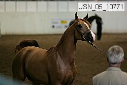 usn_05_10771 proof