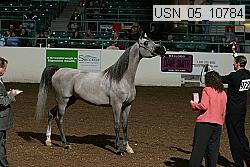 usn_05_10784 proof