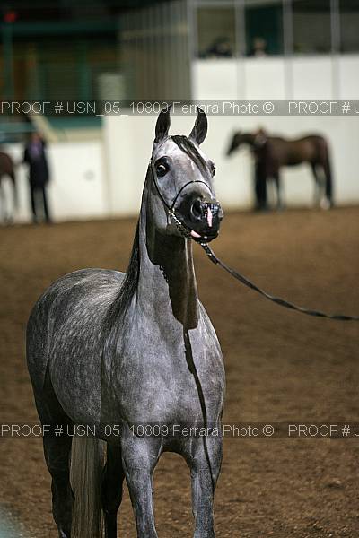 Proof usn_05_10809