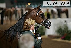 usn_05_10815 proof