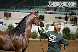 usn_05_10816 proof