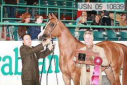usn_05_10839 proof