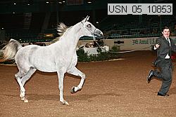 usn_05_10853 proof