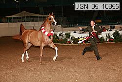 usn_05_10855 proof