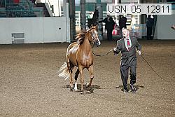 usn_05_12911 proof