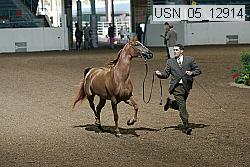 usn_05_12914 proof