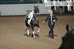 usn_05_12919 proof