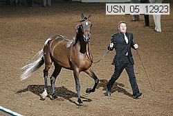 usn_05_12923 proof