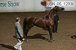 usn_05_12936 proof