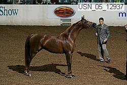 usn_05_12937 proof