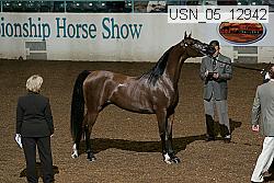 usn_05_12942 proof