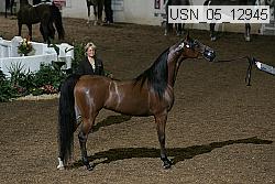 usn_05_12945 proof
