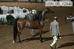 usn_05_12946 proof