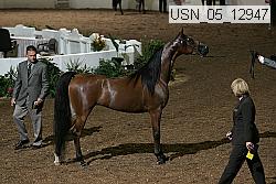 usn_05_12947 proof