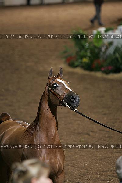 Proof usn_05_12952