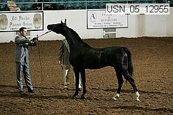 usn_05_12955 proof