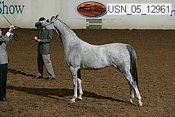 usn_05_12961 proof