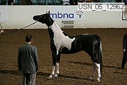 usn_05_12962 proof