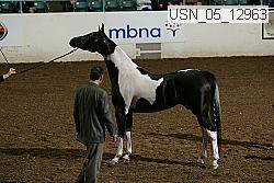 usn_05_12963 proof