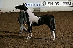usn_05_12964 proof