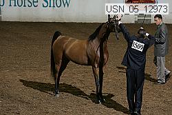 usn_05_12973 proof