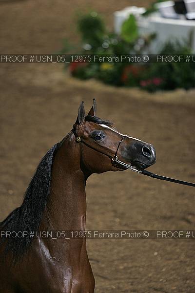 Proof usn_05_12975