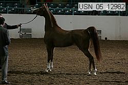 usn_05_12982 proof