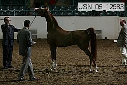 usn_05_12983 proof