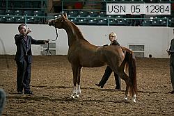 usn_05_12984 proof
