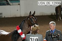 usn_05_12998 proof
