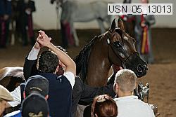 usn_05_13013 proof