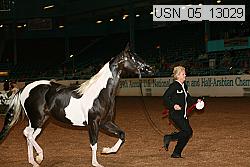 usn_05_13029 proof