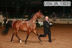 usn_05_13031 proof