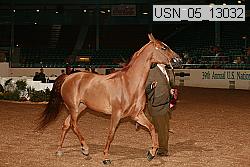 usn_05_13032 proof