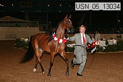 usn_05_13034 proof