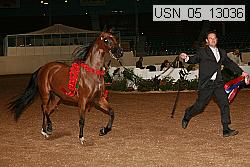 usn_05_13036 proof