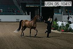 usn_05_10417 proof