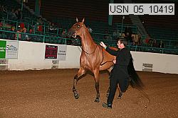 usn_05_10419 proof