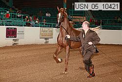 usn_05_10421 proof