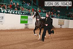 usn_05_10424 proof