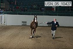 usn_05_10427 proof