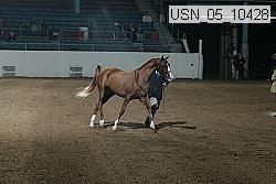 usn_05_10428 proof