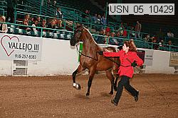 usn_05_10429 proof