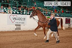 usn_05_10431 proof
