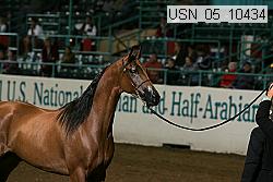 usn_05_10434 proof