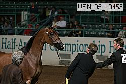 usn_05_10453 proof