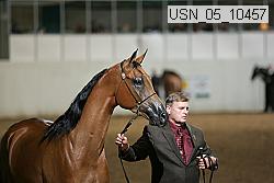 usn_05_10457 proof