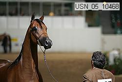usn_05_10468 proof