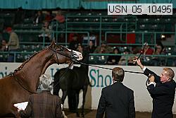 usn_05_10495 proof