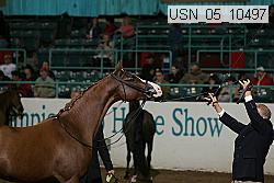 usn_05_10497 proof